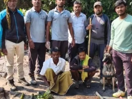 CG News: सांभर को मारने वाले 12 शिकारी गिरफ्तार, फरार आरोपियों की तलाश जारी