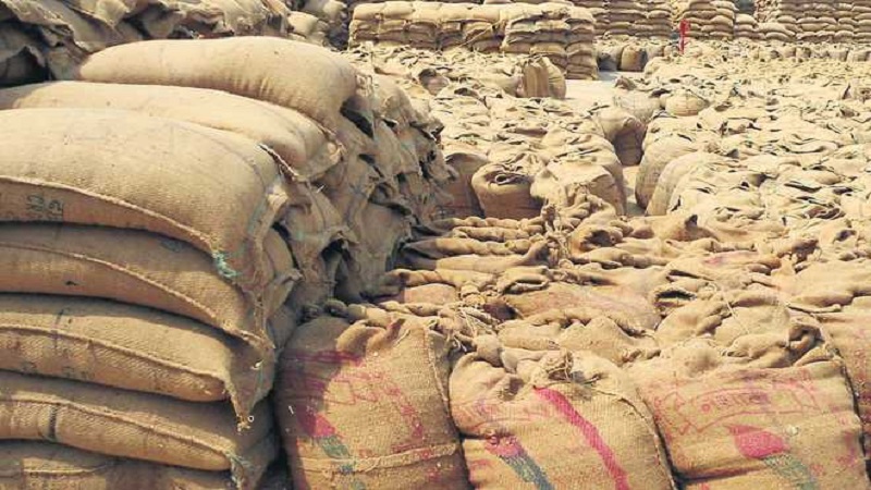 रायपुर: धान के अवैध भंडारण पर कार्रवाई, सात राइस मिलों से 957 क्विंटल धान जप्त