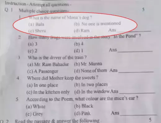 “चौथी की परीक्षा के सवाल पर बवाल: ‘कुत्ते के नाम’ वाले प्रश्न पर DEO को कारण बताओ नोटिस, लोक शिक्षण संचालनालय सख्त”
